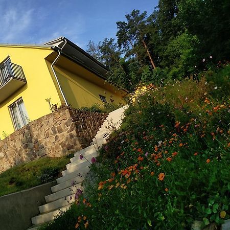 Mezi Stromy Hotel Horakov Exterior foto